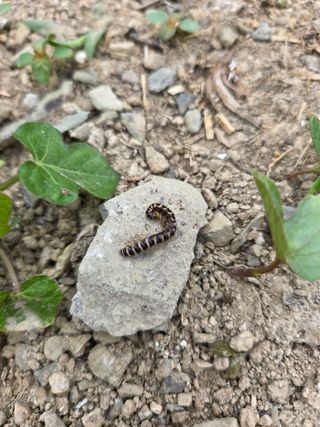 방촌대장님의 자유주제 · 자유게시판 작성글 사진