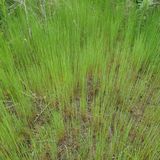 팜모닝 자유주제·자유게시판 게시글 이미지