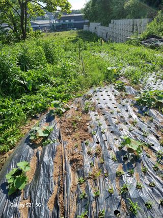 권오정님의 자유주제 · 자유게시판 작성글 사진