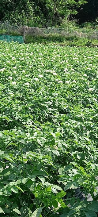 고병길님의 자유주제 · 자유게시판 작성글 사진