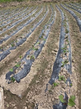 박명광님의 자유주제 · 자유게시판 작성글 사진