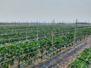 둥이농장(김준태)님의 자유주제 · 자유게시판 작성글 사진