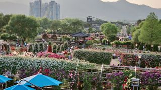 늘푸른농장님의 자유주제 · 자유게시판 작성글 사진