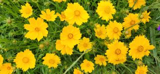 하은와송~♡♡♡~님의 자유주제 · 자유게시판 작성글 사진