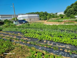 권오정님의 자유주제 · 자유게시판 작성글 사진