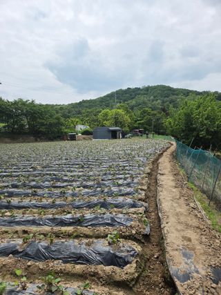 박명광님의 자유주제 · 자유게시판 작성글 사진