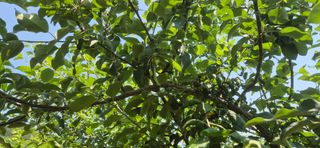 드롱이님의 사과 · 품질 향상 작성글 사진