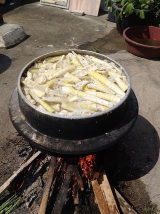 이현상님의 작성글 사진