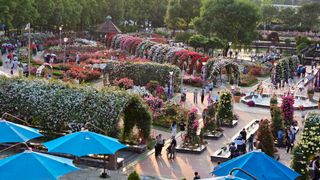 늘푸른농장님의 자유주제 · 자유게시판 작성글 사진