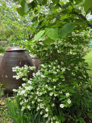 최동수님의 자유주제 · 자유게시판 작성글 사진