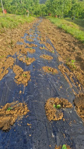 정석구님의 자유주제 · 자유게시판 작성글 사진