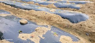 민우님의 자유주제 · 자유게시판 작성글 사진