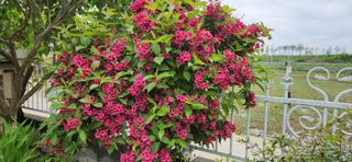 하은와송~♡♡♡~님의 자유주제 · 자유게시판 작성글 사진