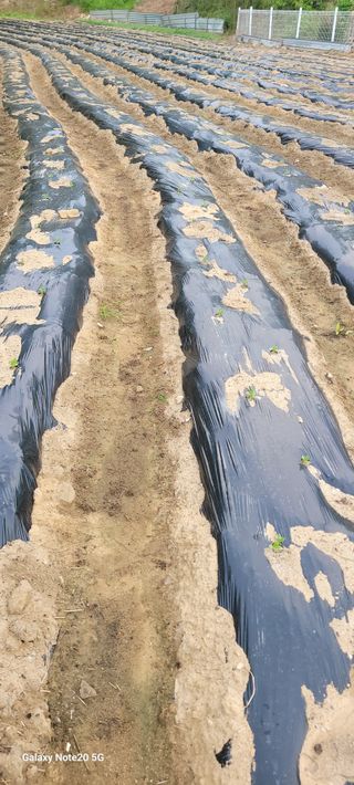 민우님의 자유주제 · 자유게시판 작성글 사진