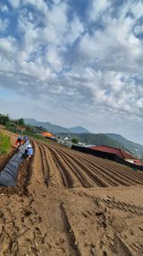 팜모닝 자유주제·자유게시판 게시글 이미지