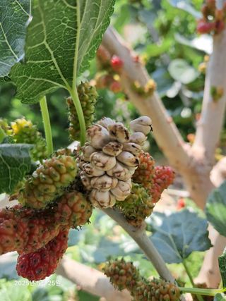 선이랑순이랑님의 자유주제 · 자유게시판 작성글 사진