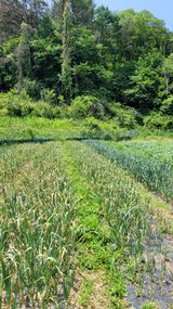 팜모닝 자유주제·자유게시판 게시글 이미지