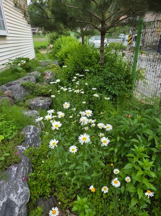 최동수님의 자유주제 · 자유게시판 작성글 사진