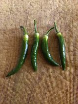 팜모닝 자유주제·자유게시판 게시글 이미지