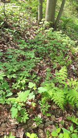 팜모닝 자유주제·자유게시판 게시글 이미지