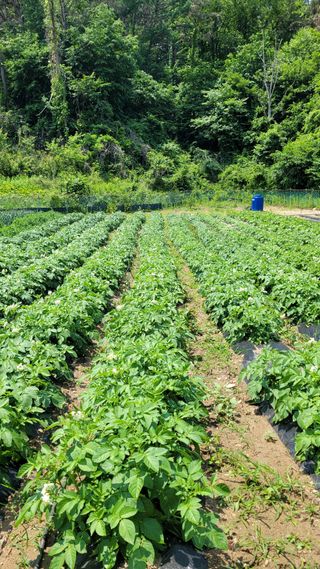 최기인님의 자유주제 · 자유게시판 작성글 사진
