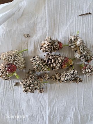 선이랑순이랑님의 자유주제 · 자유게시판 작성글 사진