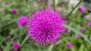 삼례텃밭지기님의 자유주제 · 자유게시판 작성글 사진