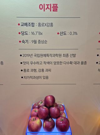 우리농원님의 자유주제 · 자유게시판 작성글 사진