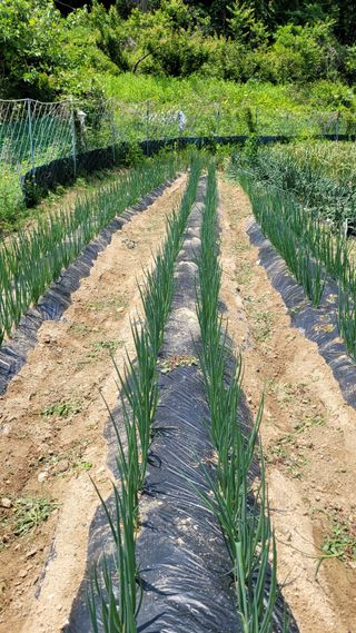 최기인님의 자유주제 · 자유게시판 작성글 사진