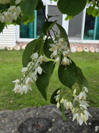 최동수님의 자유주제 · 자유게시판 작성글 사진