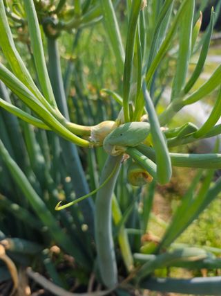 김제일주농장님의 자유주제 · 자유게시판 작성글 사진