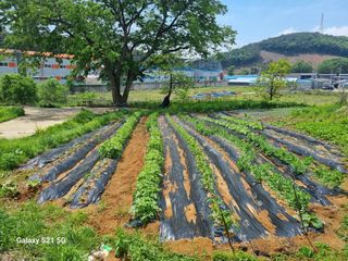 권오정님의 자유주제 · 자유게시판 작성글 사진