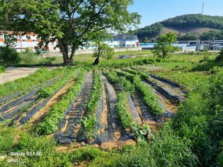 권오정님의 자유주제 · 자유게시판 작성글 사진