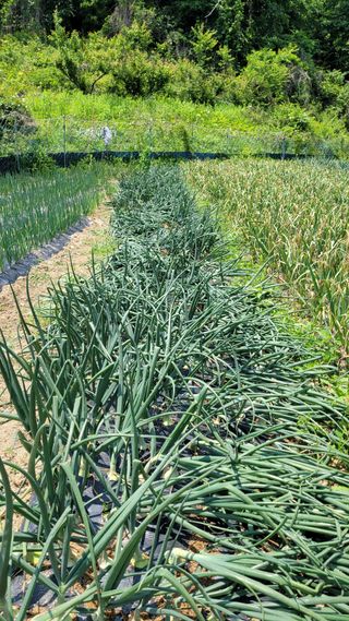 최기인님의 자유주제 · 자유게시판 작성글 사진