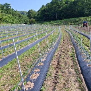 오영도님의 자유주제 · 자유게시판 작성글 사진