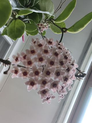 유영옥님의 자유주제 · 자유게시판 작성글 사진