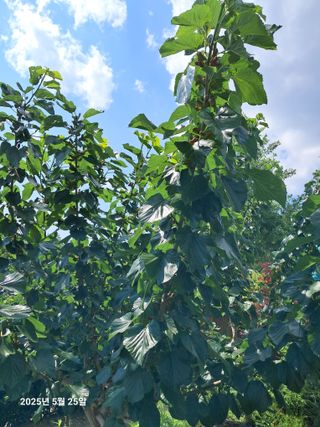 선이랑순이랑님의 자유주제 · 자유게시판 작성글 사진