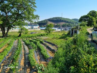 권오정님의 자유주제 · 자유게시판 작성글 사진