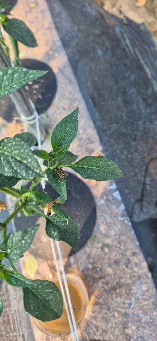 힐링농장님의 자유주제 · 자유게시판 작성글 사진