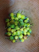 팜모닝 자유주제·자유게시판 게시글 이미지