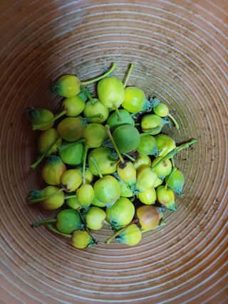 들깨15996님의 자유주제 · 자유게시판 작성글 사진