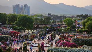 늘푸른농장님의 자유주제 · 자유게시판 작성글 사진