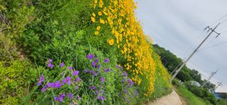 하은와송~♡♡♡~님의 자유주제 · 자유게시판 작성글 사진