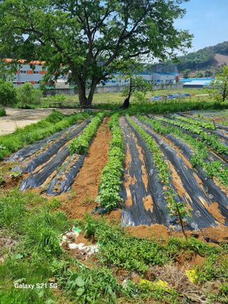 권오정님의 자유주제 · 자유게시판 작성글 사진