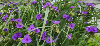 하은와송~♡♡♡~님의 자유주제 · 자유게시판 작성글 사진