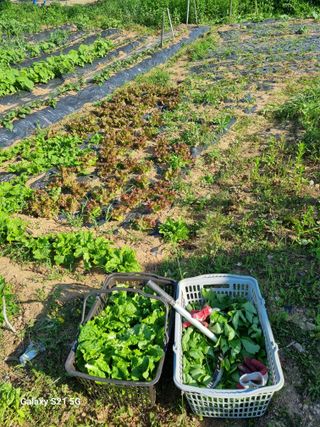 권오정님의 자유주제 · 자유게시판 작성글 사진