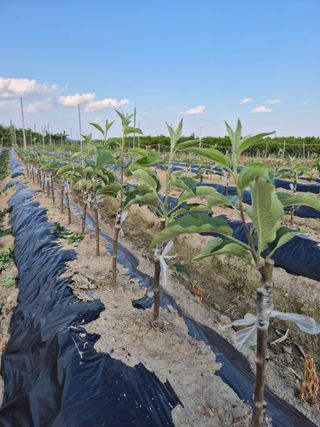 우리농원님의 자유주제 · 자유게시판 작성글 사진