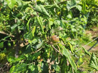 귤13740님의 자유주제 · 자유게시판 작성글 사진