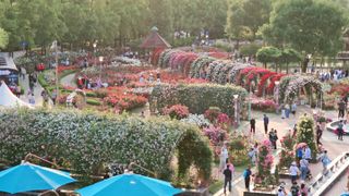 늘푸른농장님의 자유주제 · 자유게시판 작성글 사진