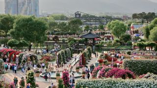 늘푸른농장님의 자유주제 · 자유게시판 작성글 사진